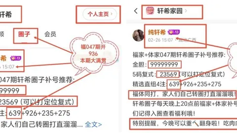 刀哥大乐透034期：专家精选组合，质合分析助力直选