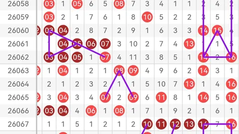 大乐透26042期红球独胆质合分析专家推荐