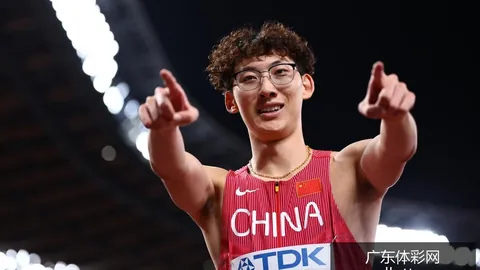 央视签下世界杯，走势图查询，版权，四年盛宴开赛在即