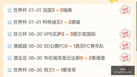 广东体彩网，购彩体验， 113001 81